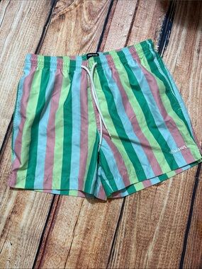 PacSun Mens Multi-Color Striped Swim Trunks - Size Small